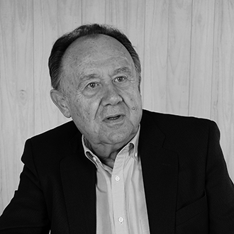 Luis Palacios Bañuelos