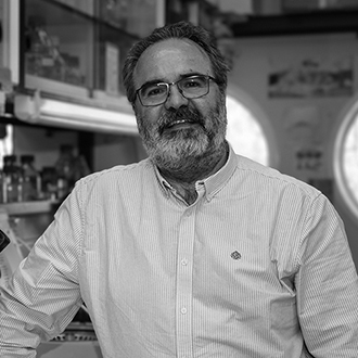 Lluís Montoliu