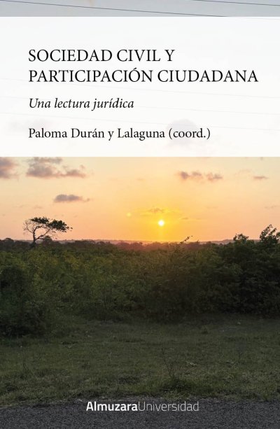 Sociedad civil y participación ciudadana